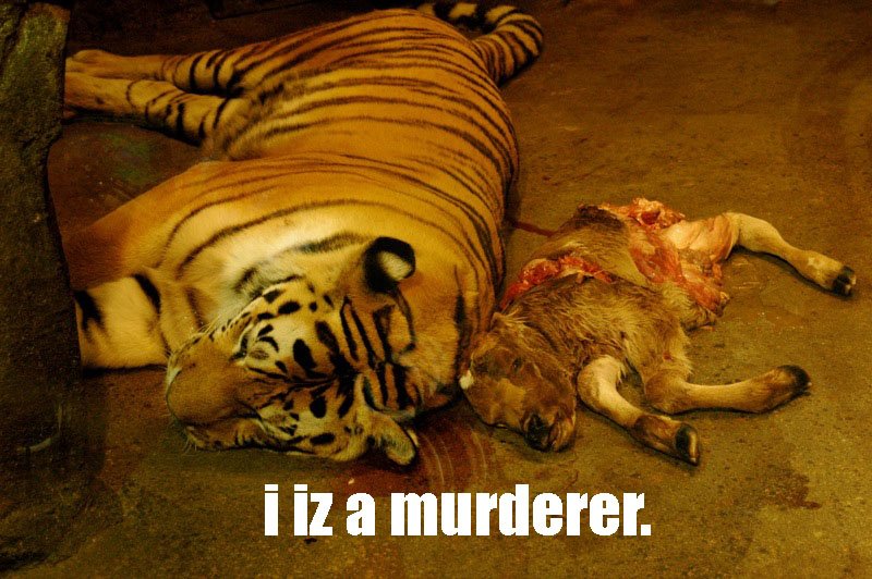 [murderer.jpg]