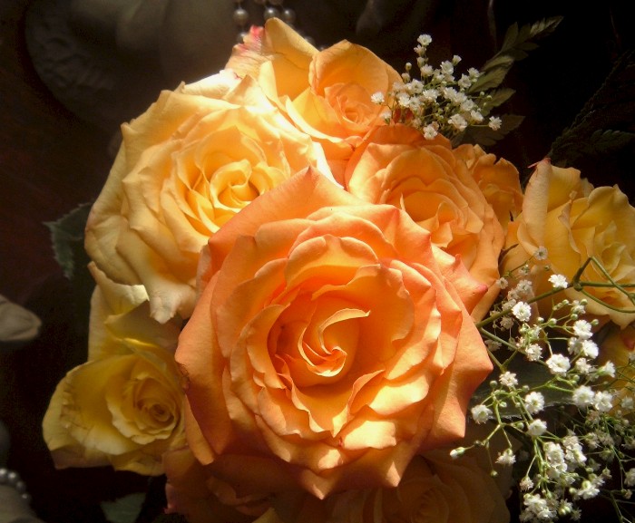 [Birthday+Roses.JPG]