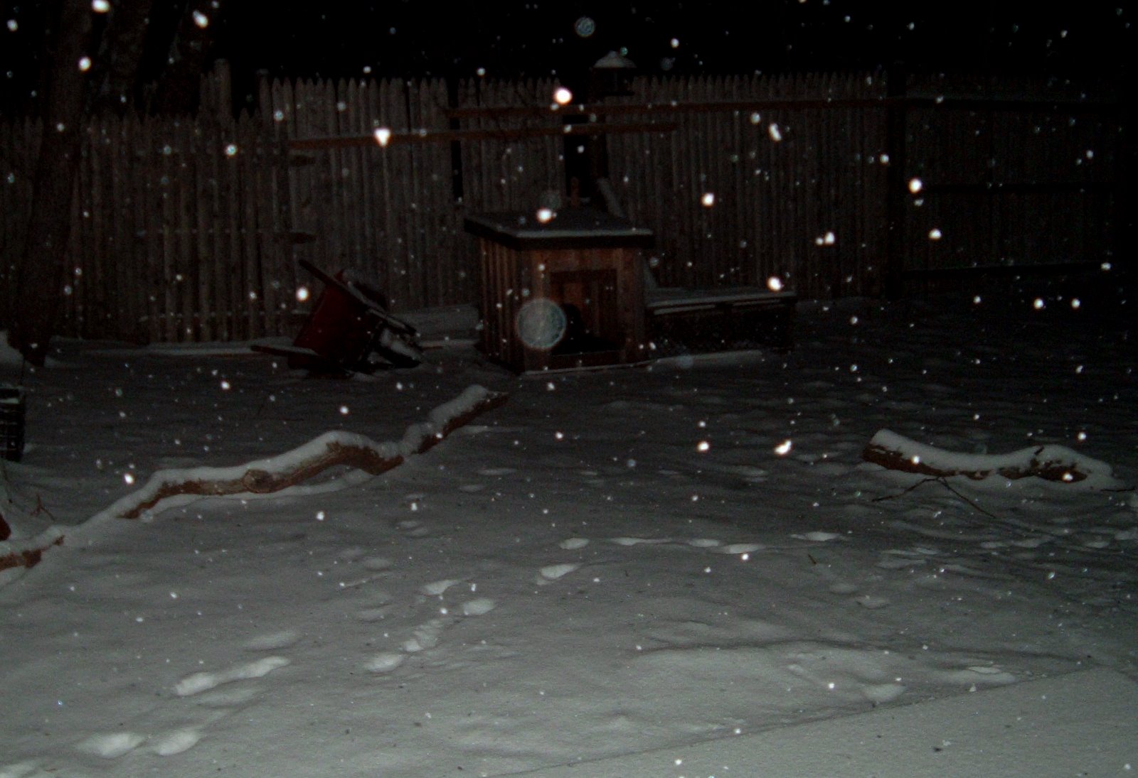 [Snow+in+the+Night.jpg]