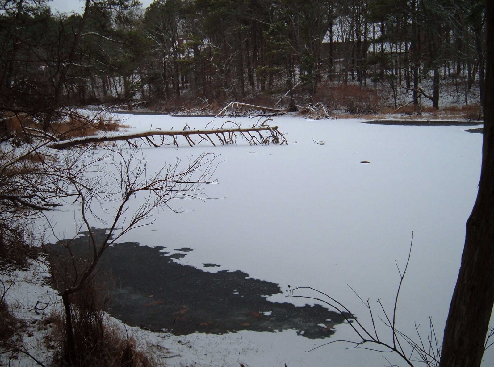 [Pond+Snow+2.jpg]