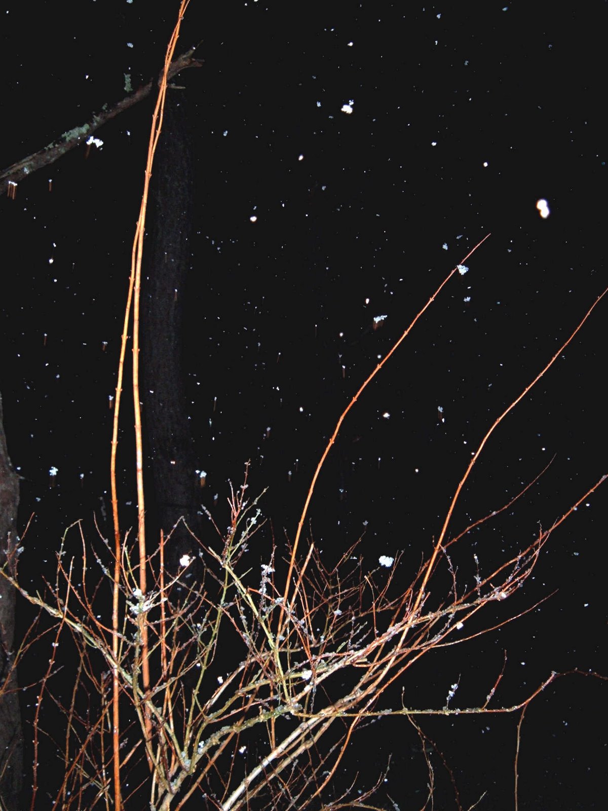 [Night+Snow.jpg]