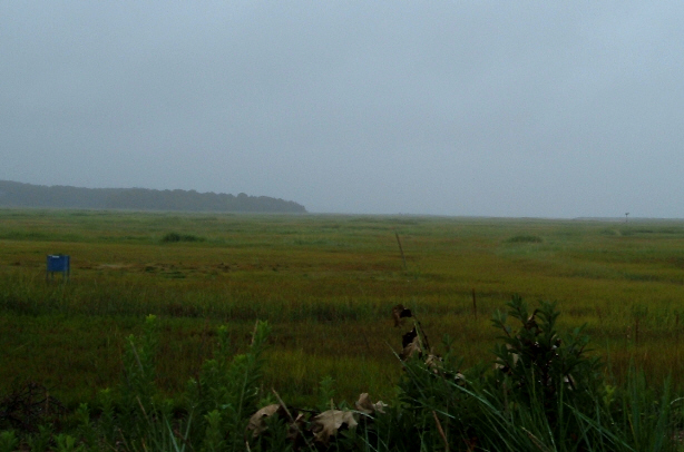 [First+Encounter+Marsh+in+the+Rain.jpg]