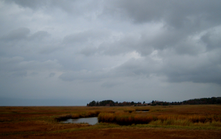 [Cloudy+Boat+Meadow.jpg]