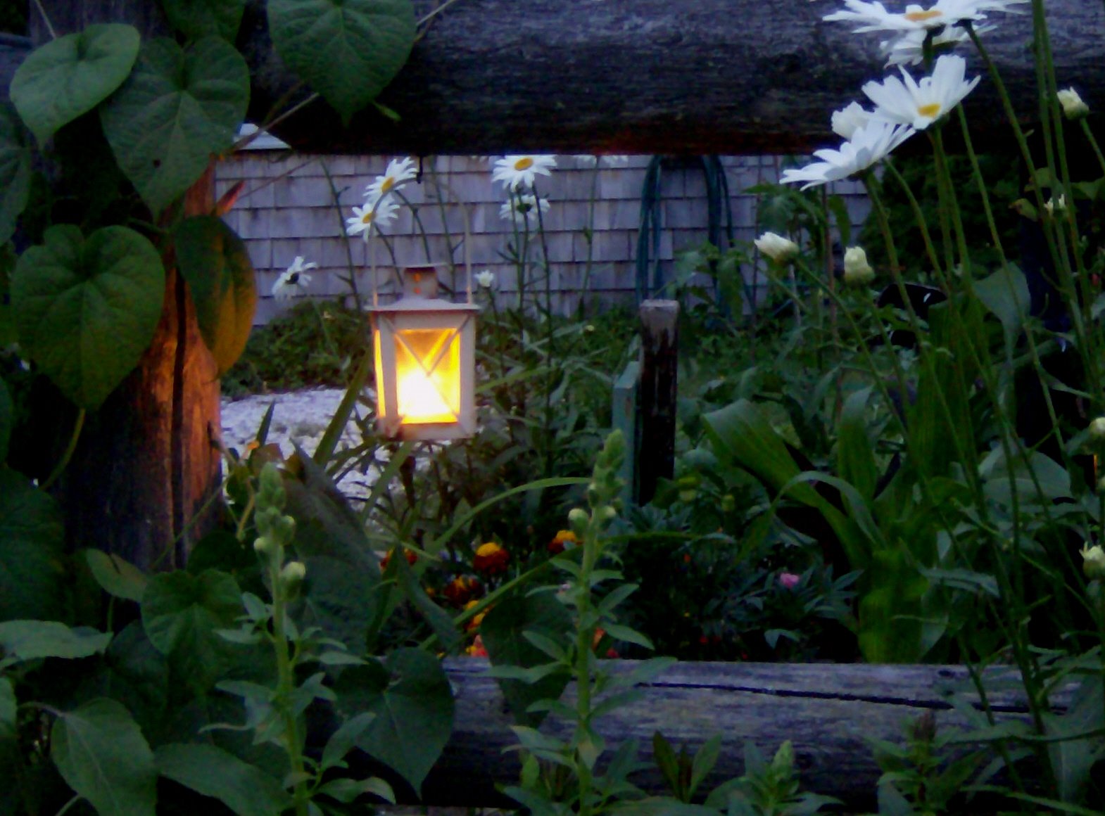 [Garden+Lantern.jpg]