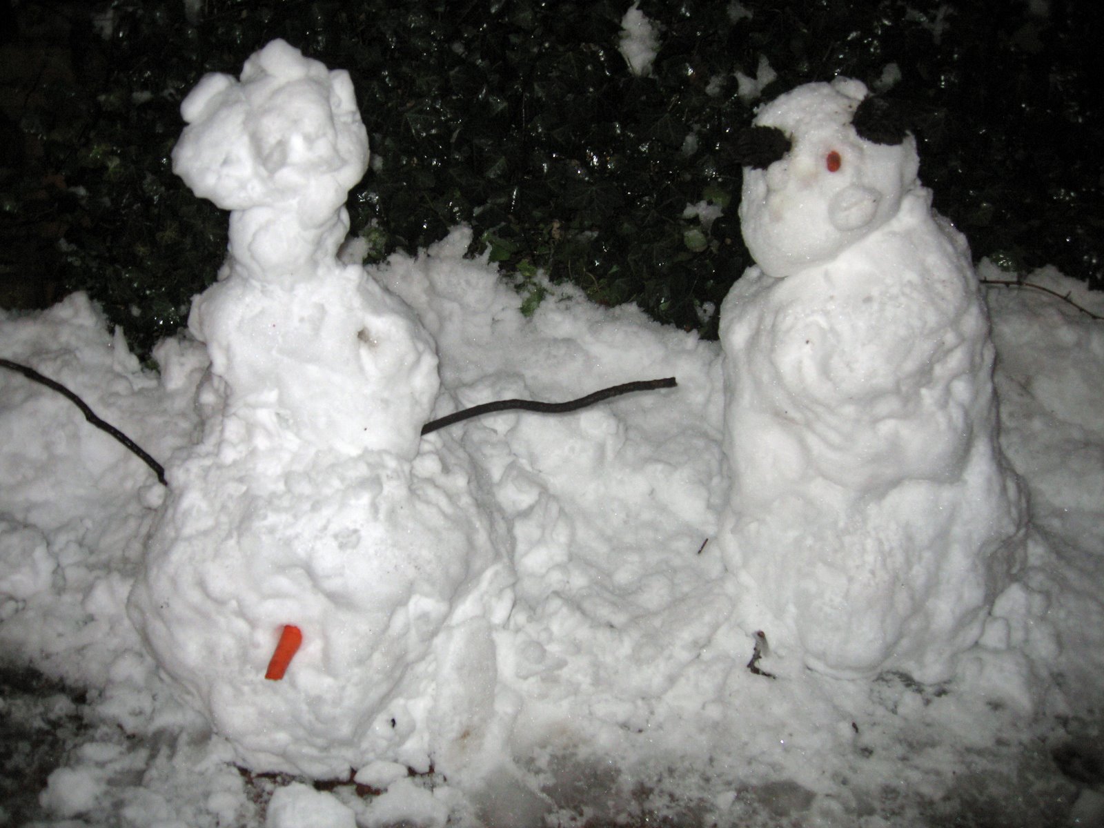 [the+anatomically+correct+snowpersons.jpg]