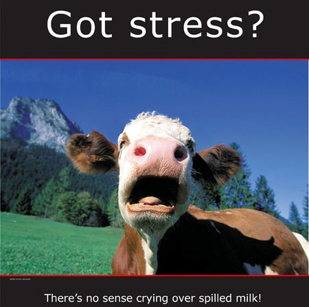 [got+stress.jpg]