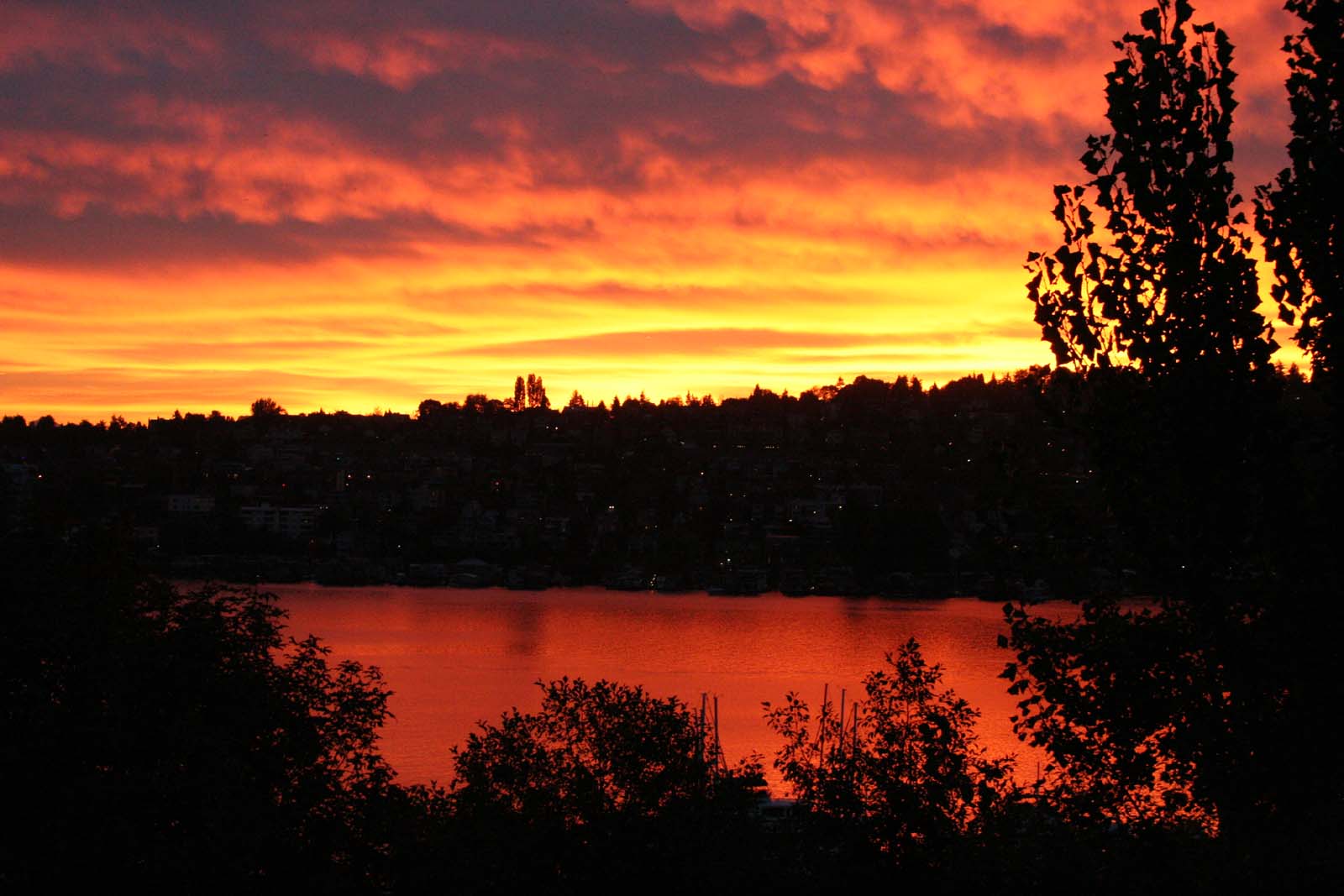 [sunrise+on+lake+union.jpg]