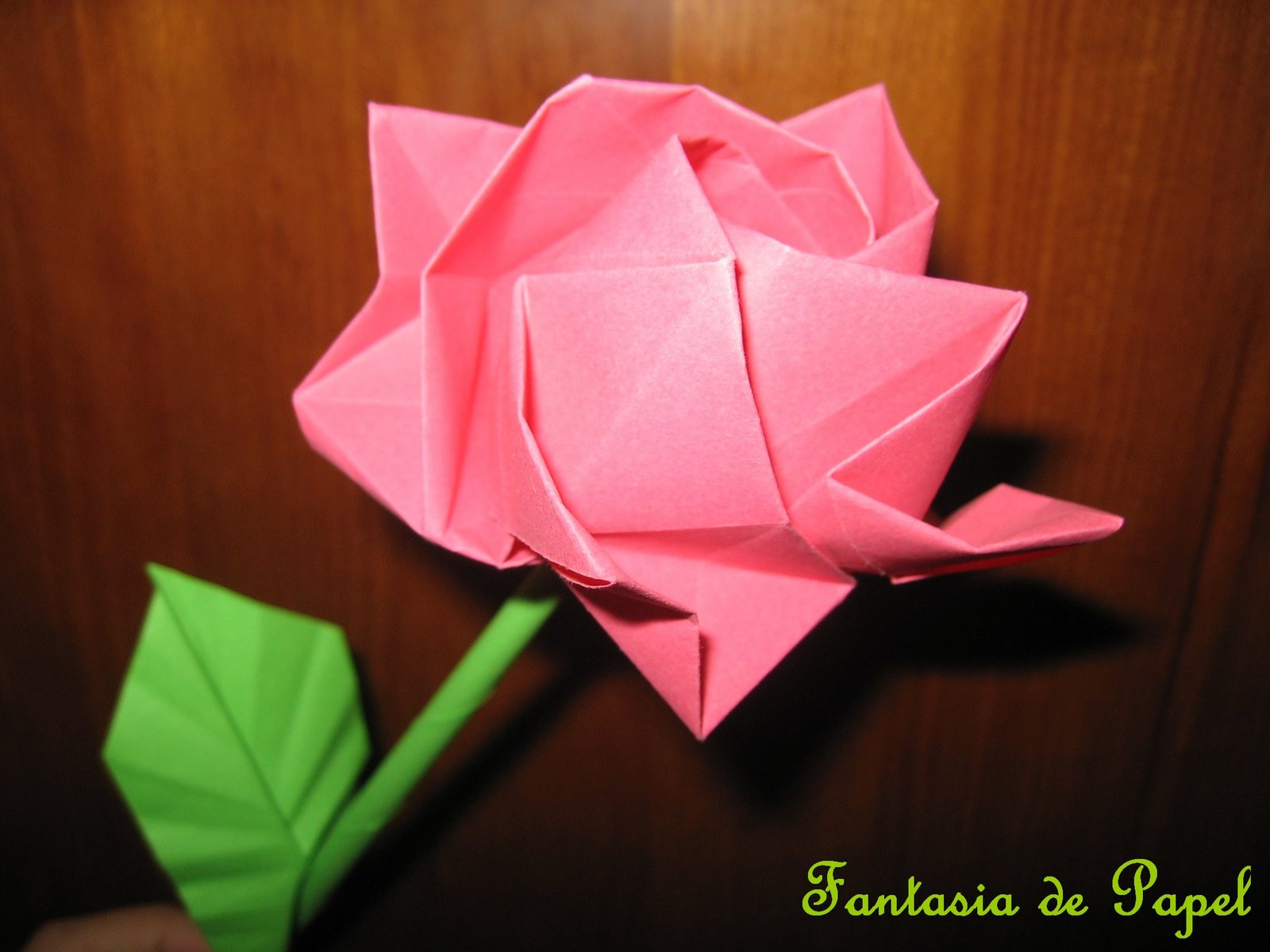 [origami+(1).jpg]