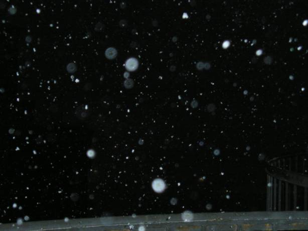 [night_snow.jpg]
