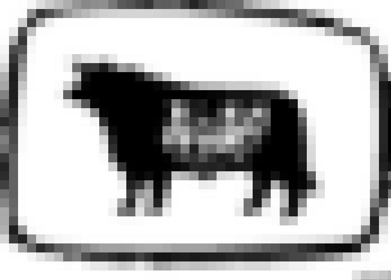 [original+moopig+1999+Cow+side+poink+mosaic+middle+.jpg]