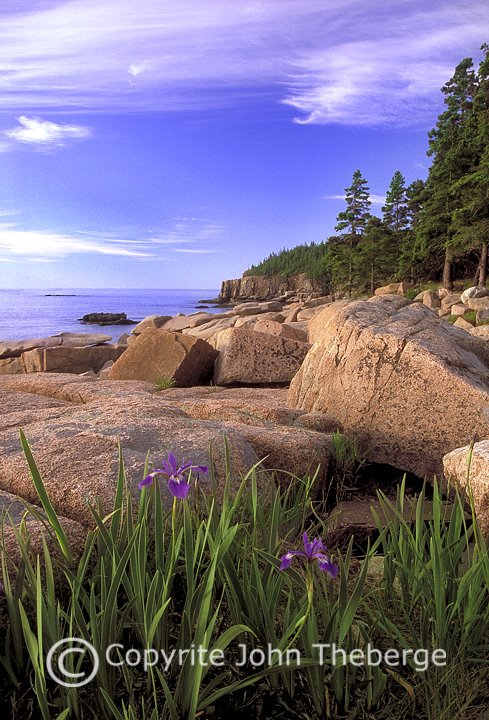 [Acadia,+Otter+Cliffs.jpg]