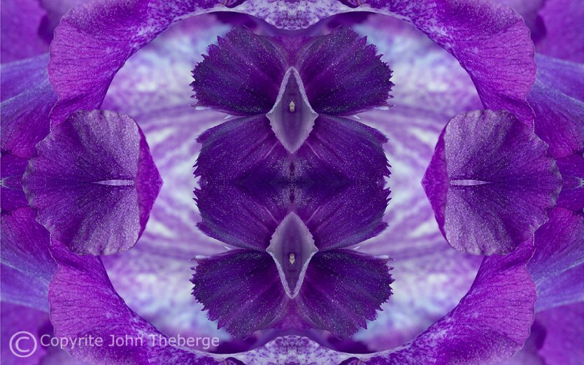 [Purple+Iris+Abstract.jpg]