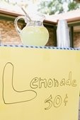 [Lemonade+STand.JPG]