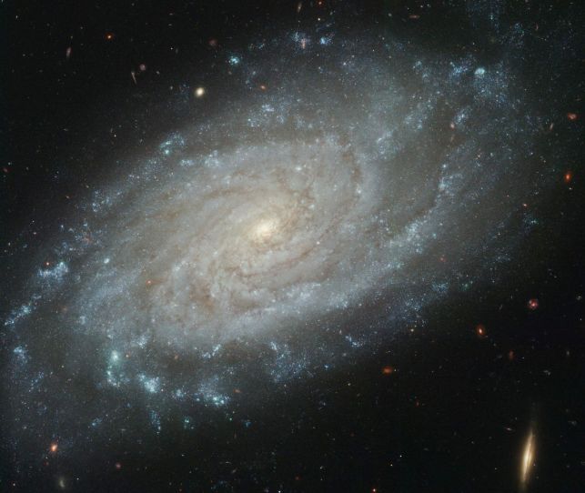 [spiral+galaxy+ngc+3370.jpg]