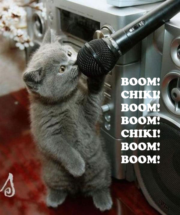 [karaoke-kitty.jpg]