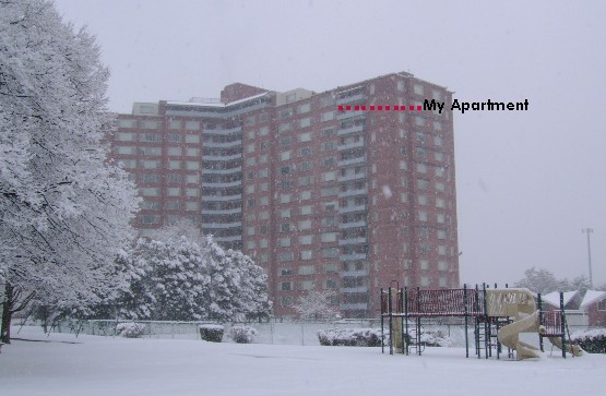 [Snow+February+25+2007+Ashlawn+I.jpg]