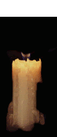 [Candle-03-june.1.gif]