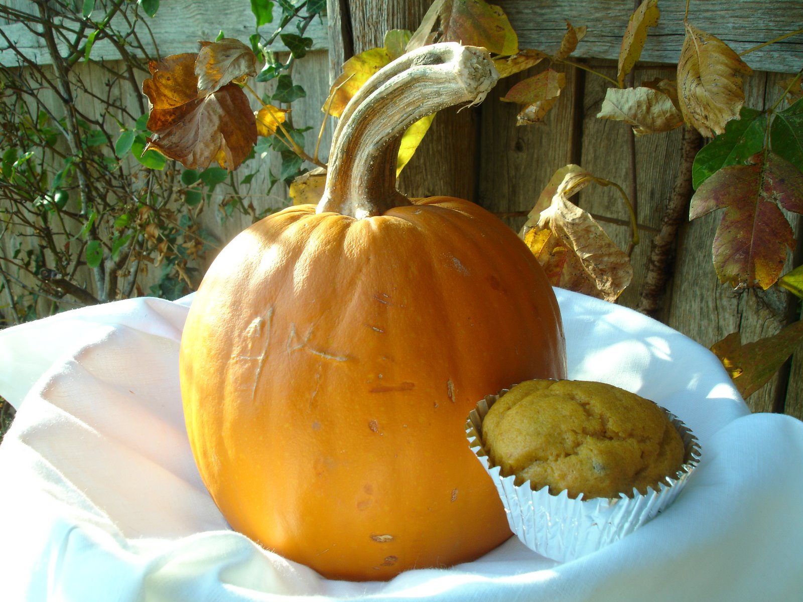 [pumpkin+muffin.jpg]