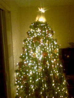 [Christmas+Tree.jpg]