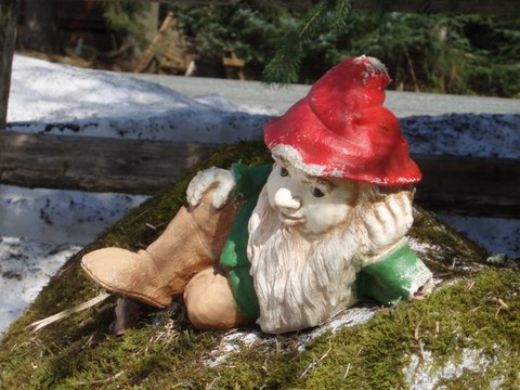 [gnome+waiting+for+spring.jpg]