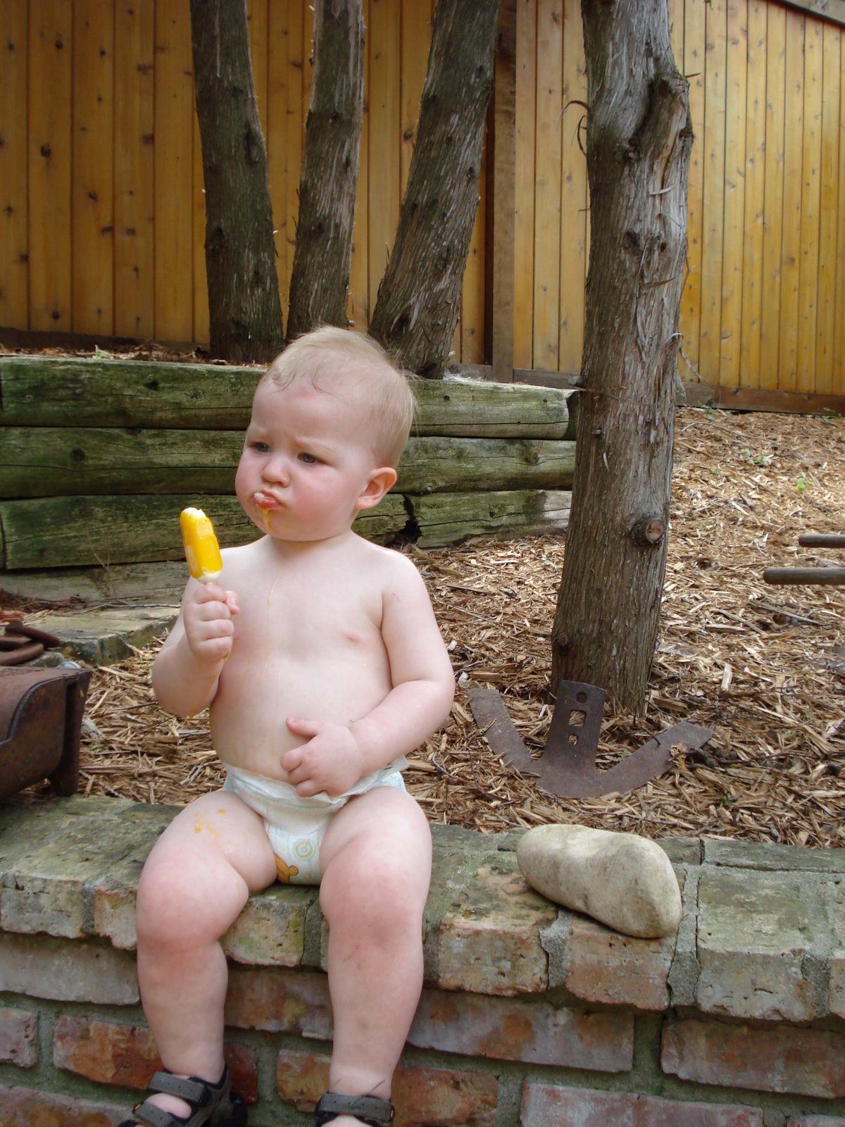 [Cole+contemplating+popsicle+7-6-08.jpg]