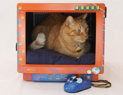 [cat-bed-computer.jpg]