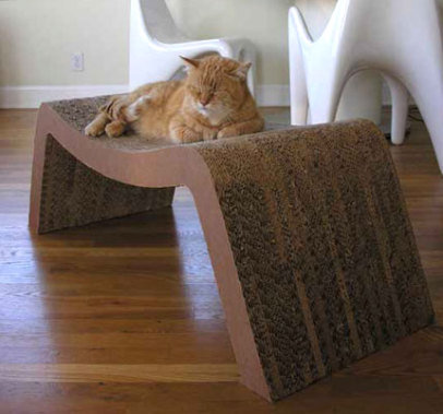 [cat_bed_furniture.jpg]