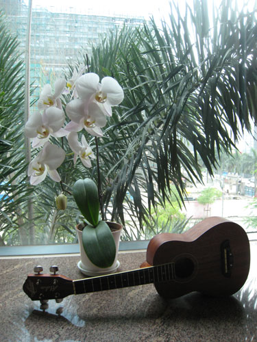 [uke-and-orchid.jpg]