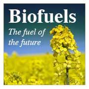 [biofuel_field1-thumb.jpg]