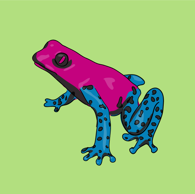 [frog02.png]