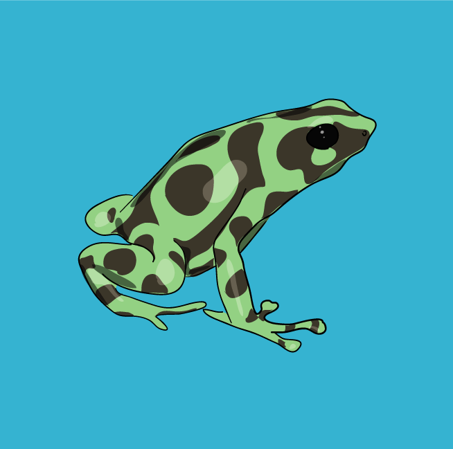 [frog01.png]