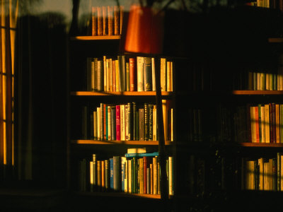 [BN1128_09-FB~Sunlight-on-Bookshelves-Oxford-England-Posters.jpg]