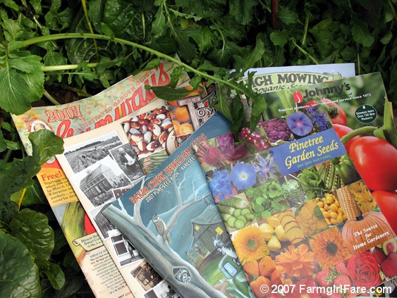 [Copy+of+2007+seed+catalogs+in+greenhouse+arugula+bed.JPG]