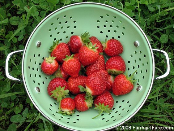 [Copy+of+strawberries+in+colander.JPG]