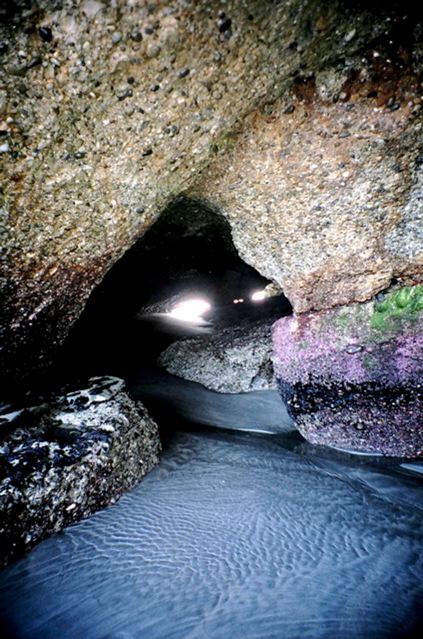 [NZ+Cave.jpg]