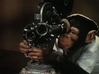 [monkey+film+camera.jpg]