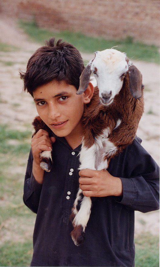 [Pakistani+Pashtun+boy.jpg]