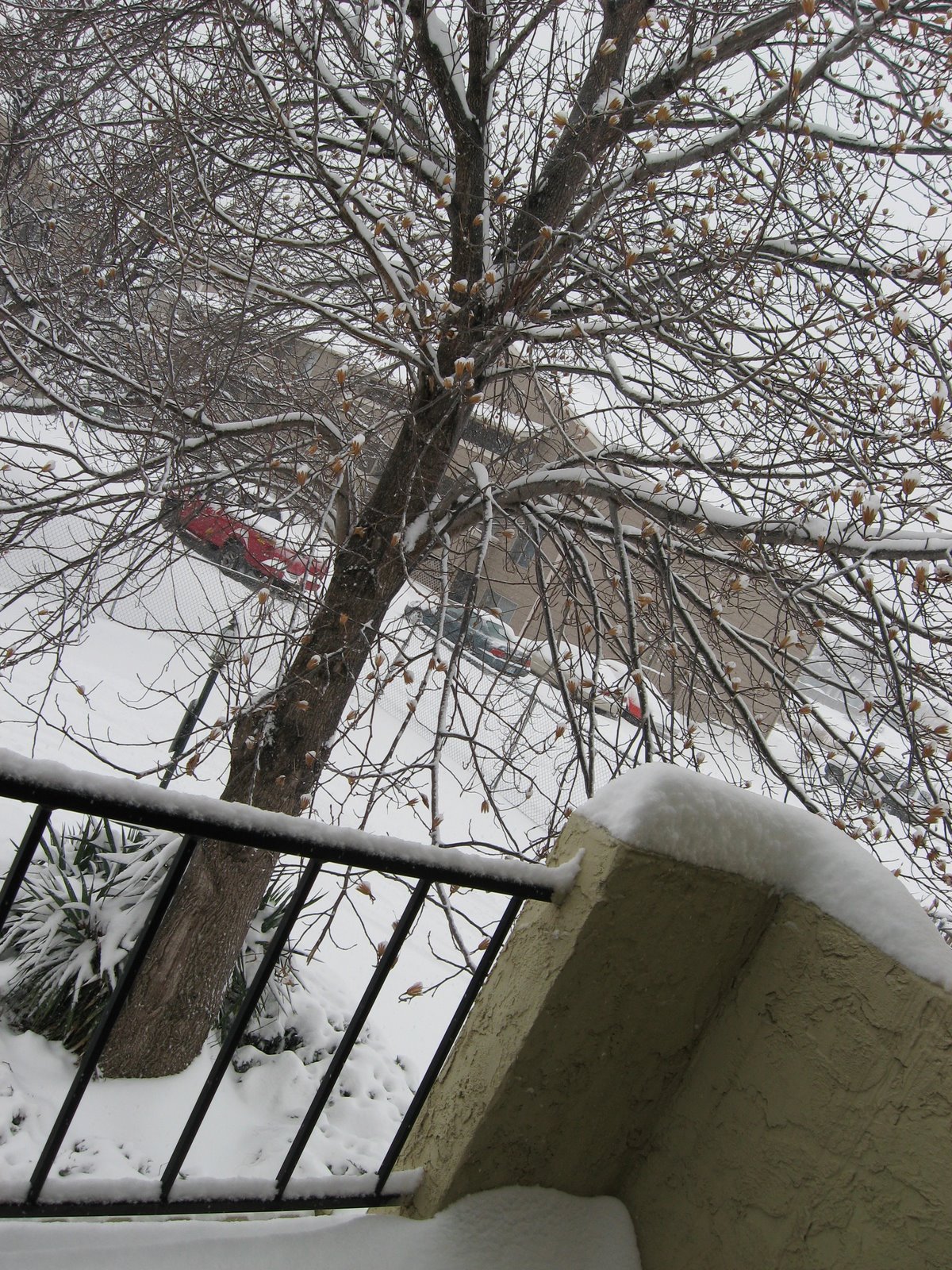 [snowy+balconey.jpg]