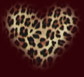 [leopard-skin.jpg]