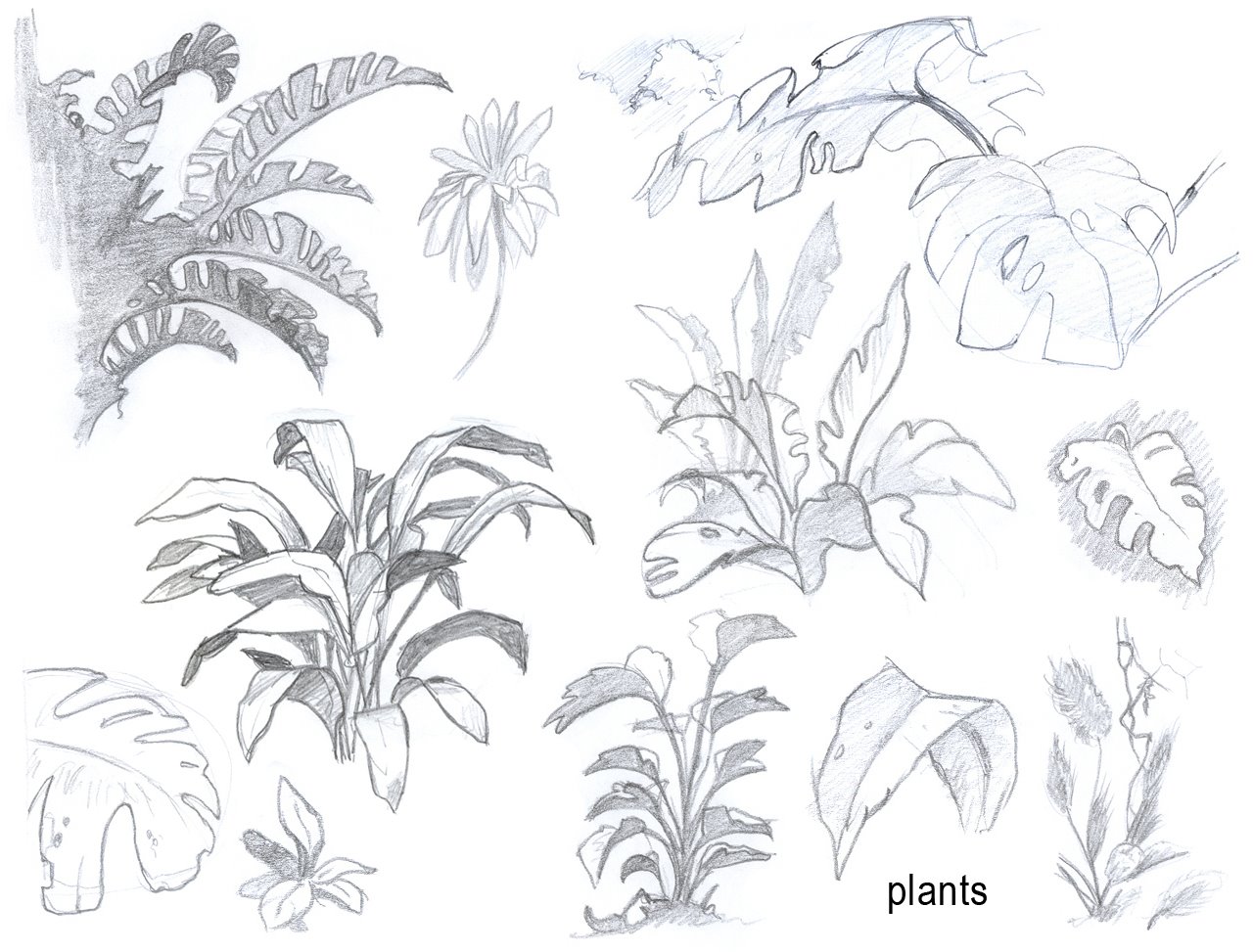 [research_0003_plants.jpg]