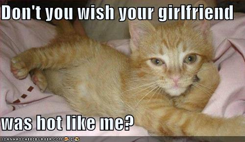 [funny-pictures-hot-cat-girlfriend.jpg]