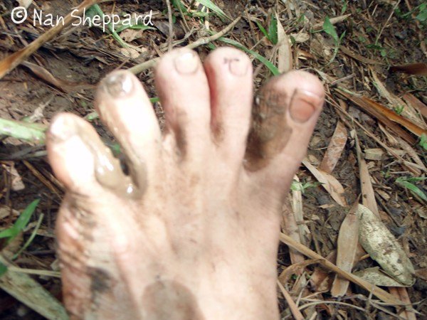 [muddy+foot.jpg]