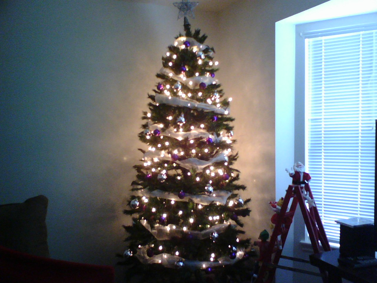 [Christmas+tree.jpg]