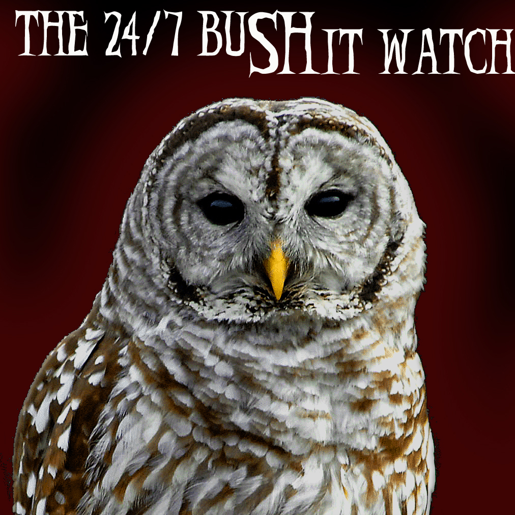 [2.BUSH+SHIT+WATCH.jpg]
