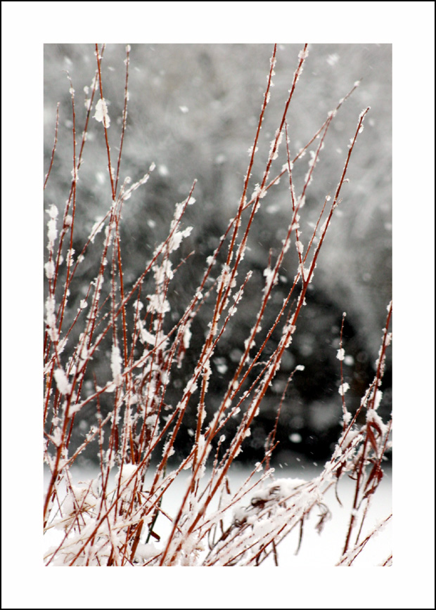 [Winter-09.jpg]