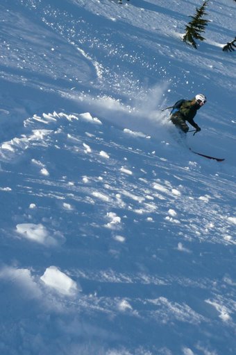 [skiing.JPG]