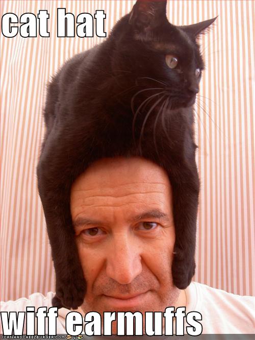[funny-pictures-cat-hat-head.jpg]