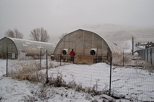 [snow_greenhouse.jpg]