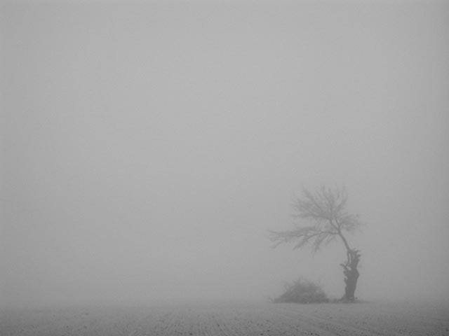 [andrea+boschin_ghost-in-the-fog_small.jpg]