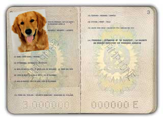[passaporto+per+cani-1.jpg]